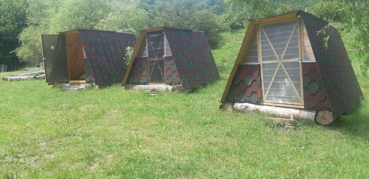 Pensiunea Izvorul Bucuriei Siriu Exterior photo