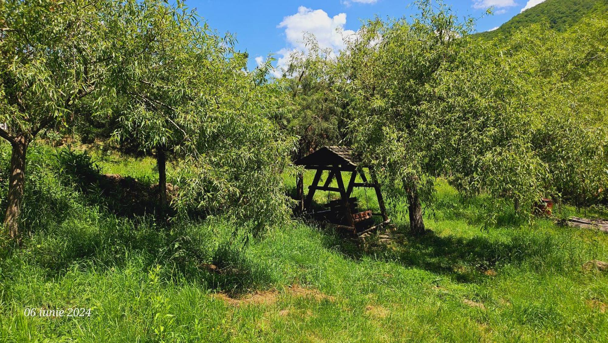 Pensiunea Izvorul Bucuriei Siriu Exterior photo