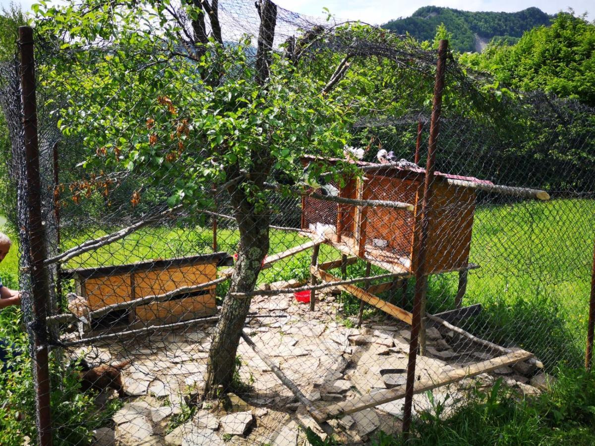 Pensiunea Izvorul Bucuriei Siriu Exterior photo